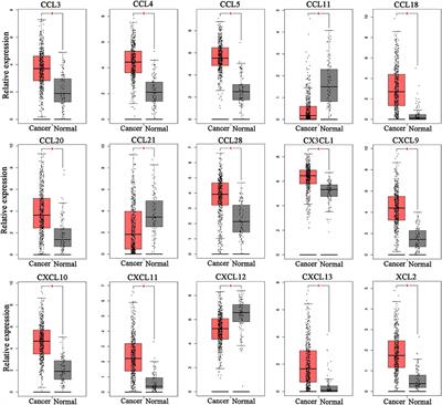CXCL13/CXCR5 Axis Predicts Poor Prognosis and Promotes Progression Through PI3K/AKT/mTOR Pathway in Clear Cell Renal Cell Carcinoma